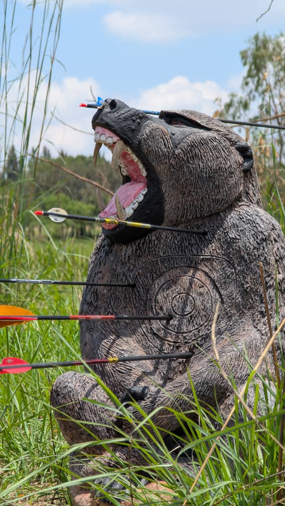 A baboon target with 4 arrows in it